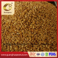 New Crop and Best Quality Roasted Spicy Peanut Kernels